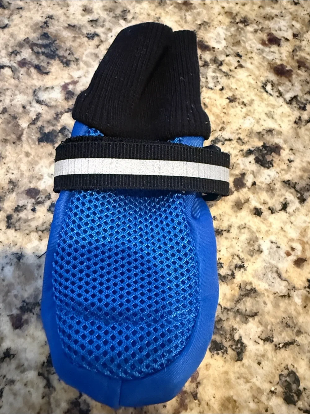 Blue Mesh Dog Boots for Small Dogs Breathable Paw Protection Shoes